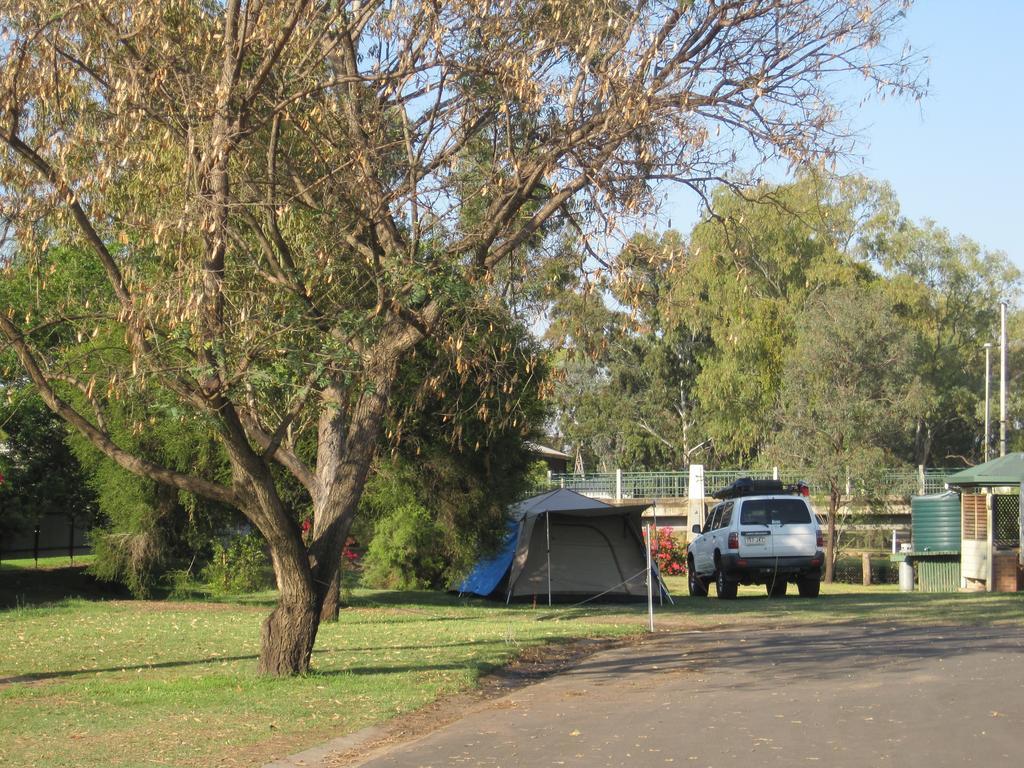 Hotel Dalby Tourist Park Exterior foto